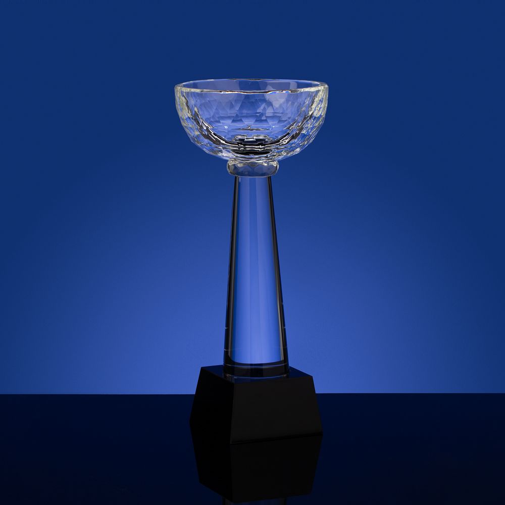 Кубок Cupture