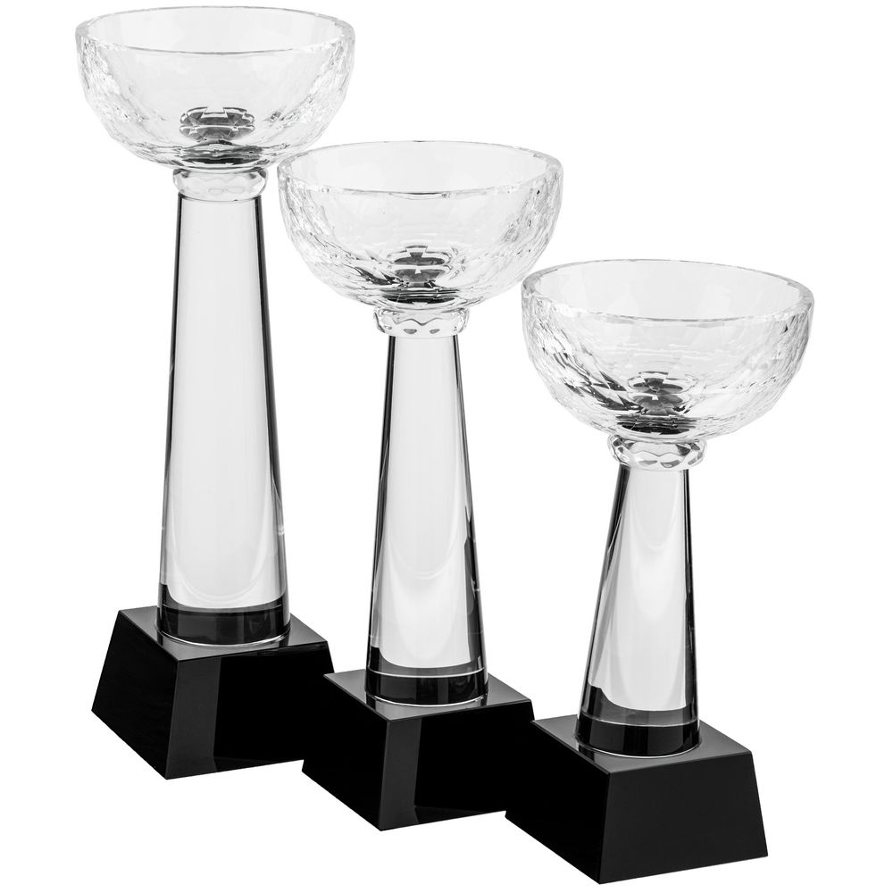 Кубок Cupture